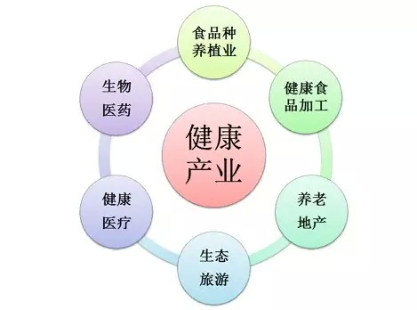 中国中医科学院常务副院长黄璐琦:在大健康事业中发挥